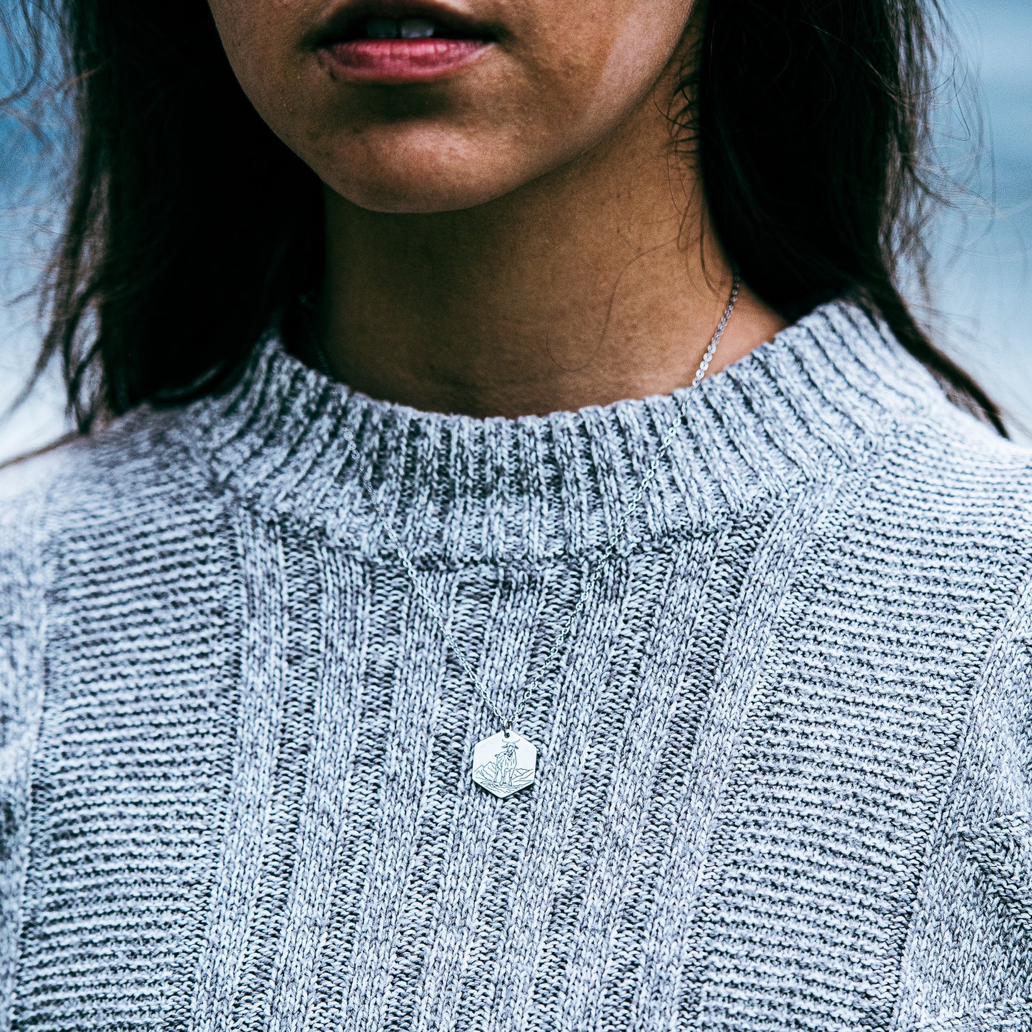 Goat on a mountain necklace - stainless steel