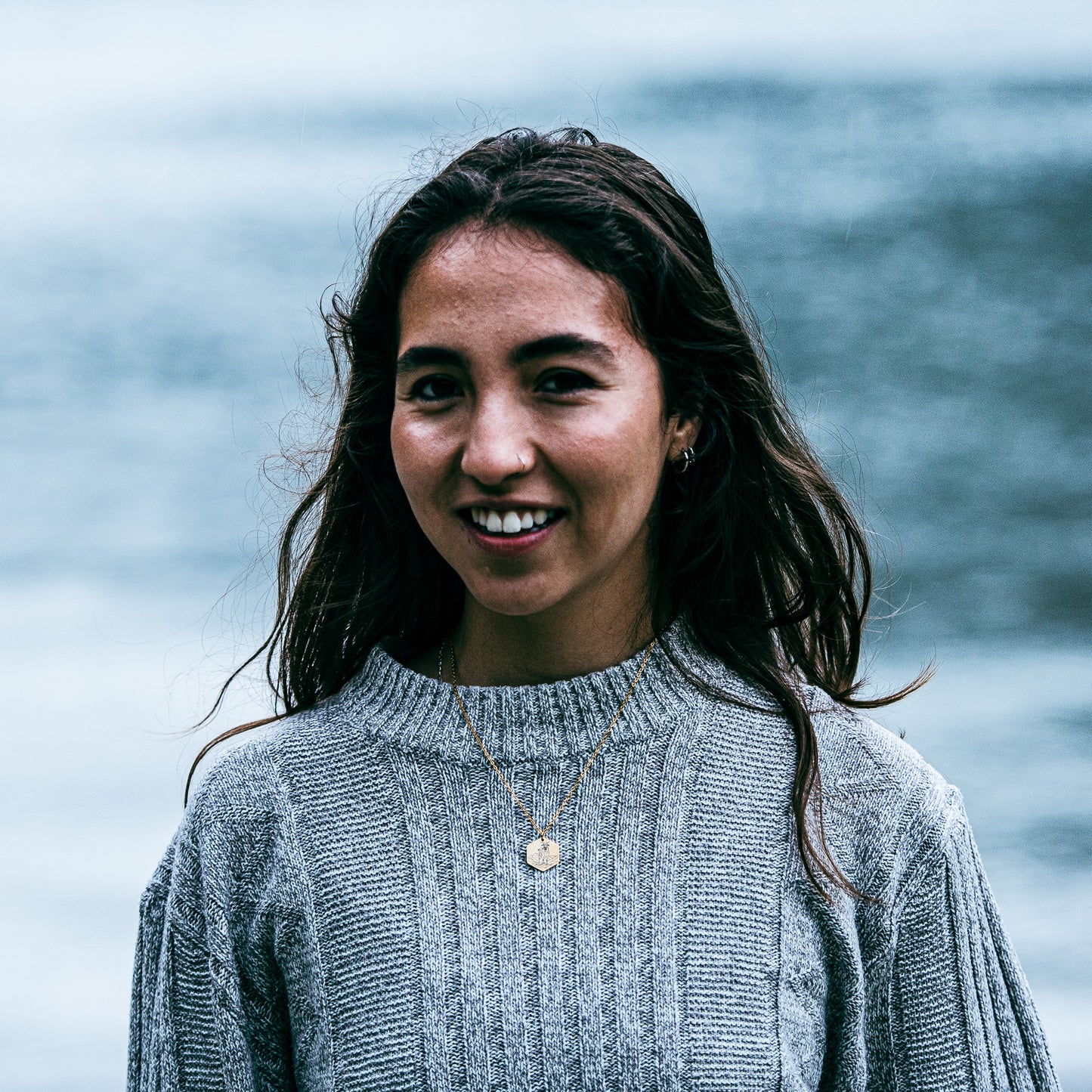 Goat on a mountain necklace - stainless steel