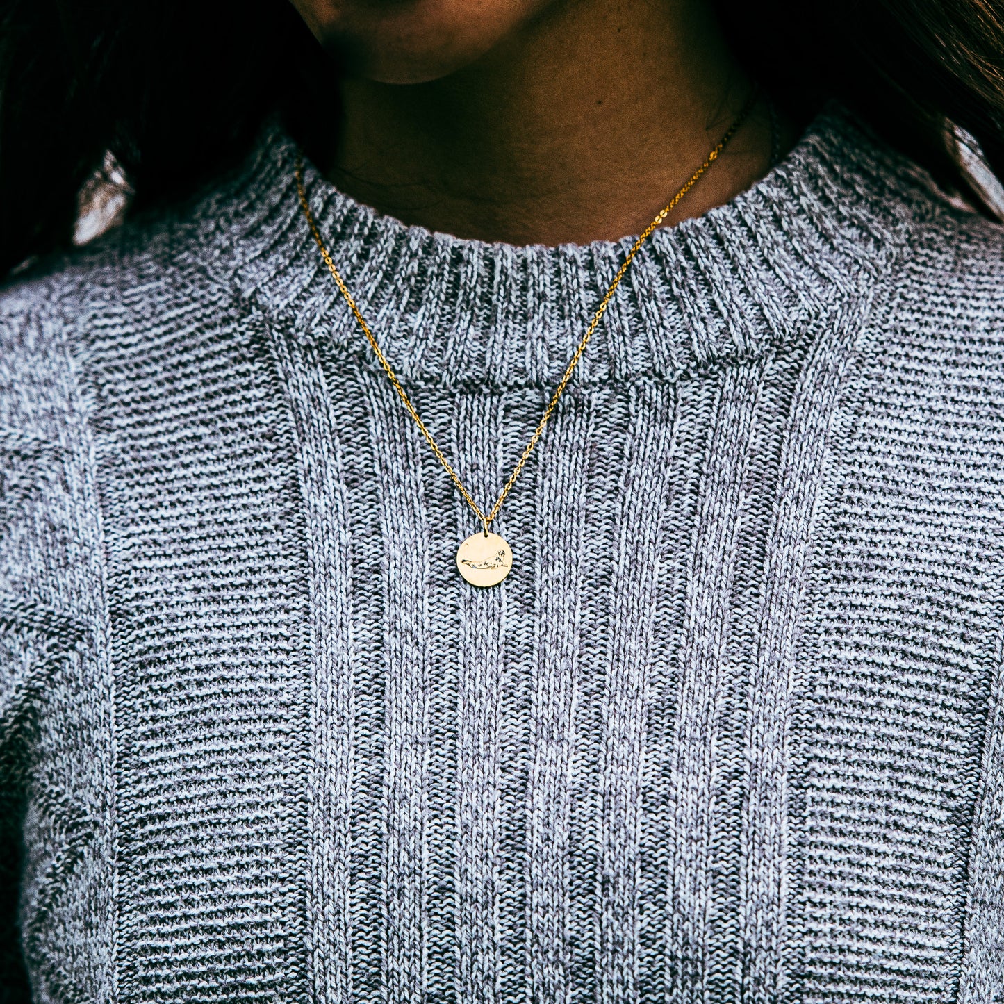 Seal laying down necklace - Stainless steel