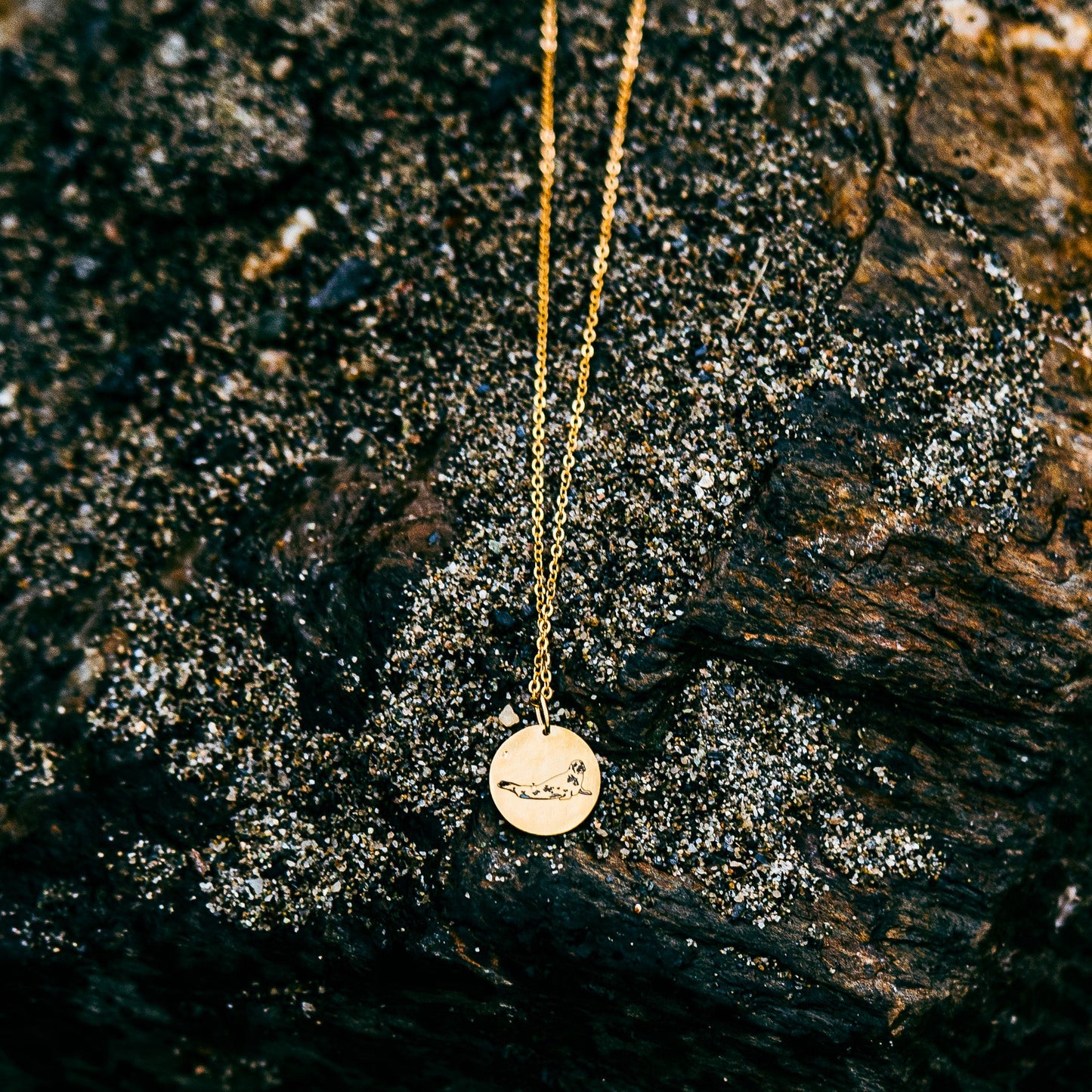 Seal laying down necklace - Stainless steel