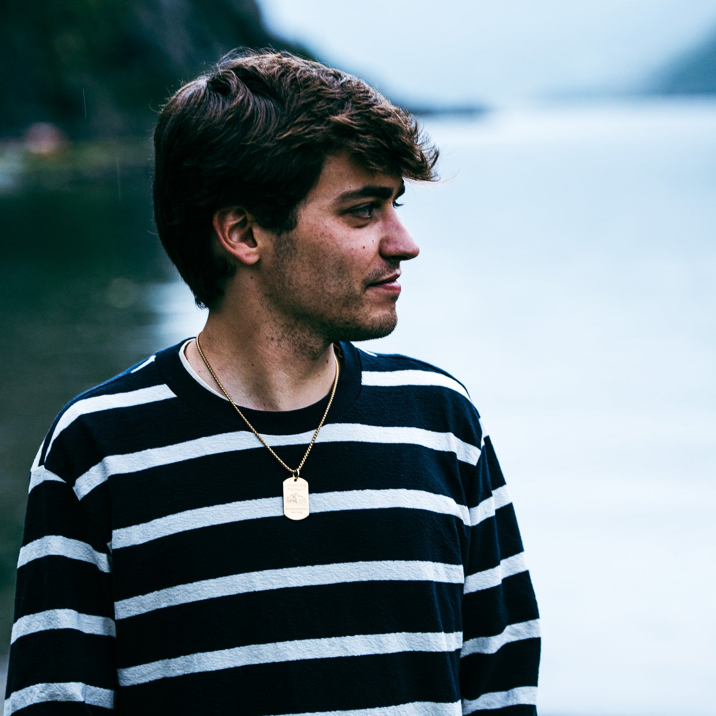 Aurlandsfjellet with deers on soldier tag - Stainless Steel