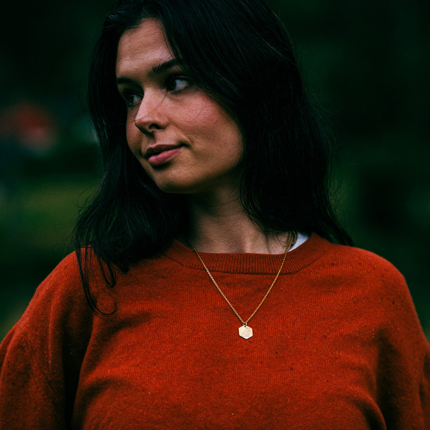 Arctic fox necklace - stainless steel