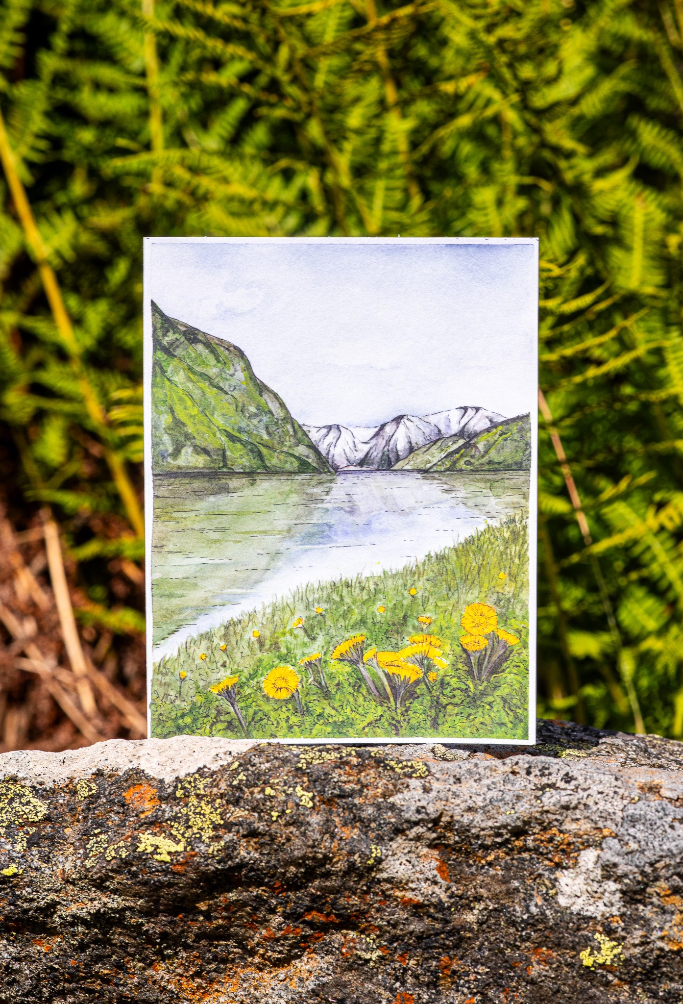 Tarjeta de felicitación "Flores de uña de potro y el fiordo de Næroy"
