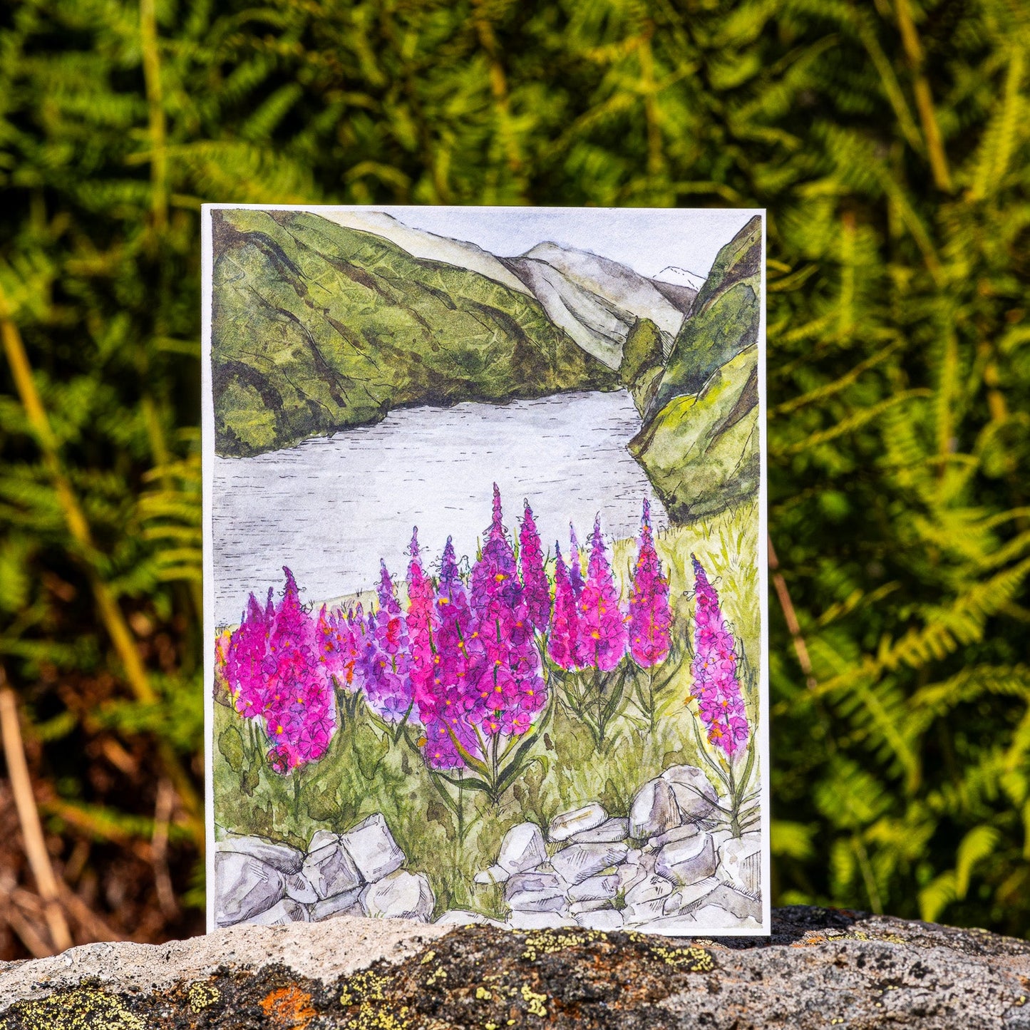 Scenery card- Flåm  river and Fireweeds