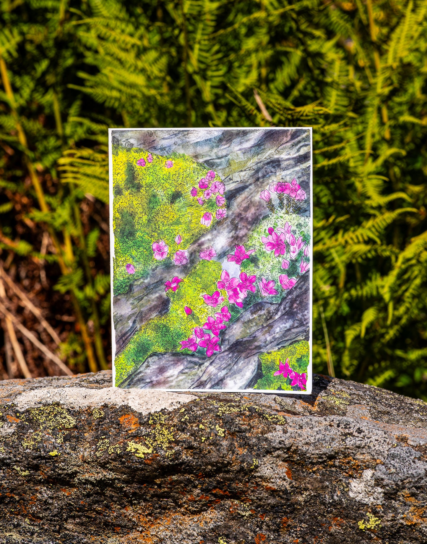 Wenskaart "Alpenazalea, mos en stenen"