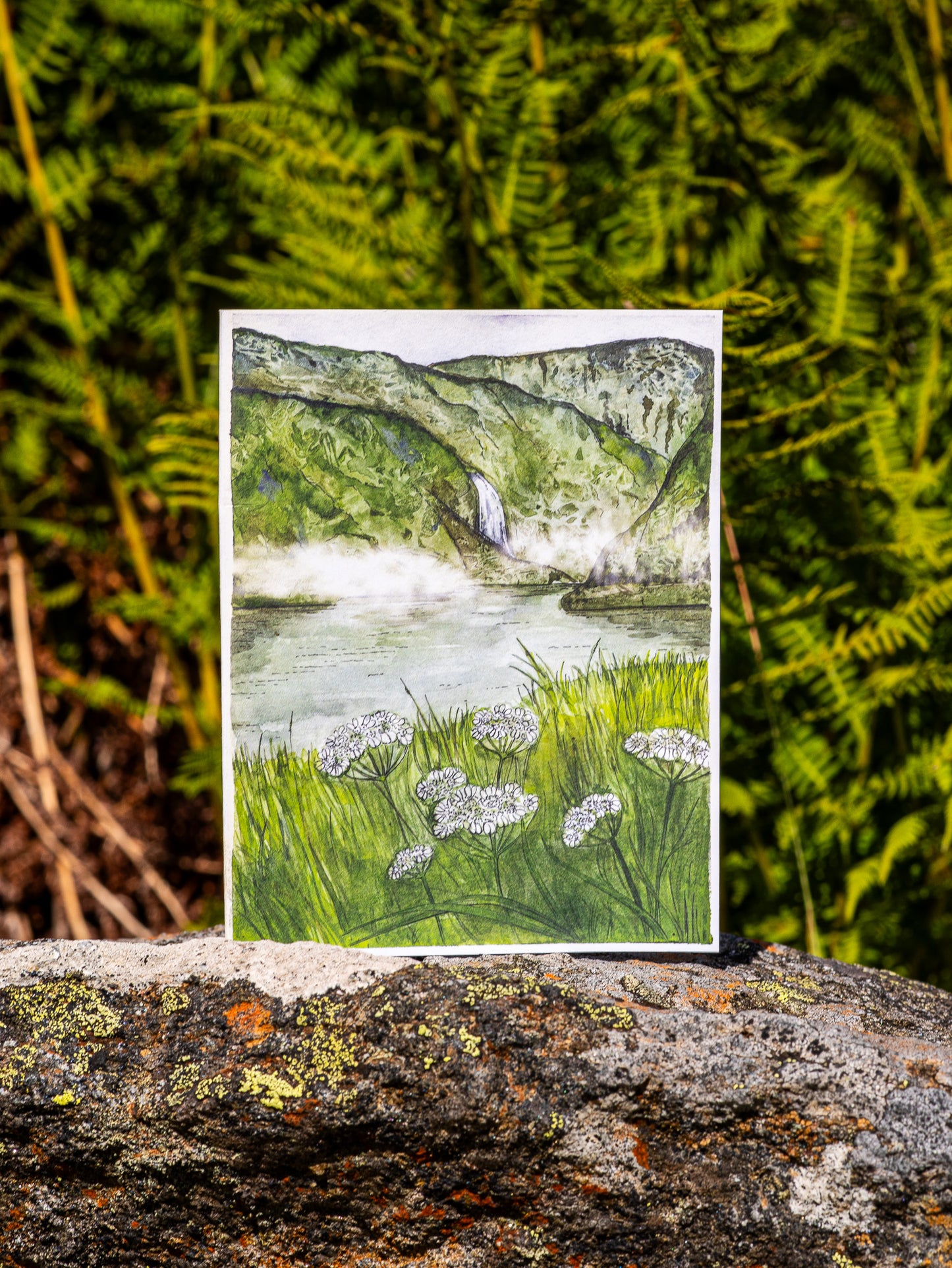 Scenery card- Aurlandsdalen with White lace flowers