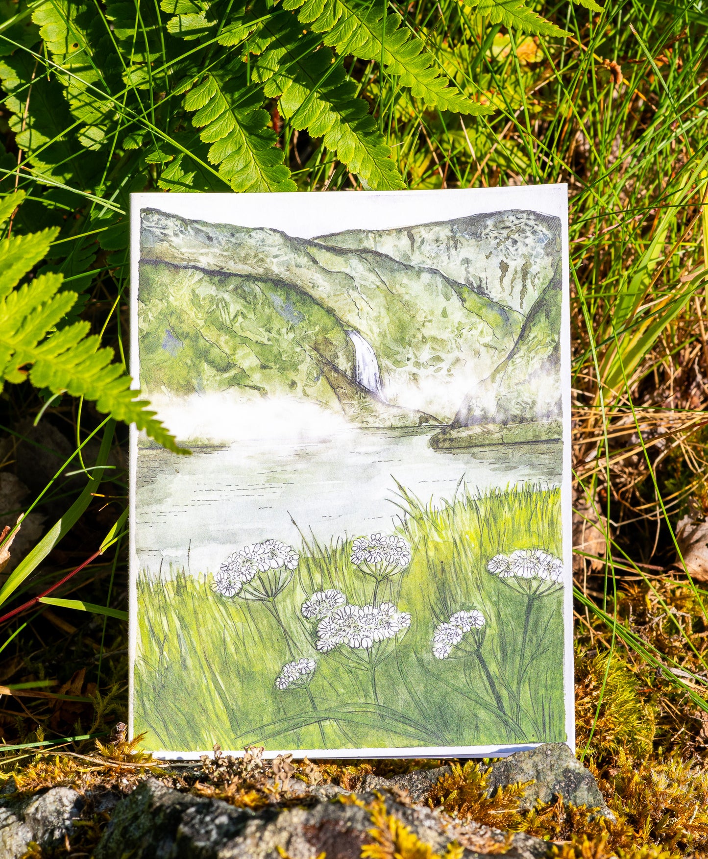 Tarjeta de felicitación "Flores de encaje blanco en Aurlandsdalen"