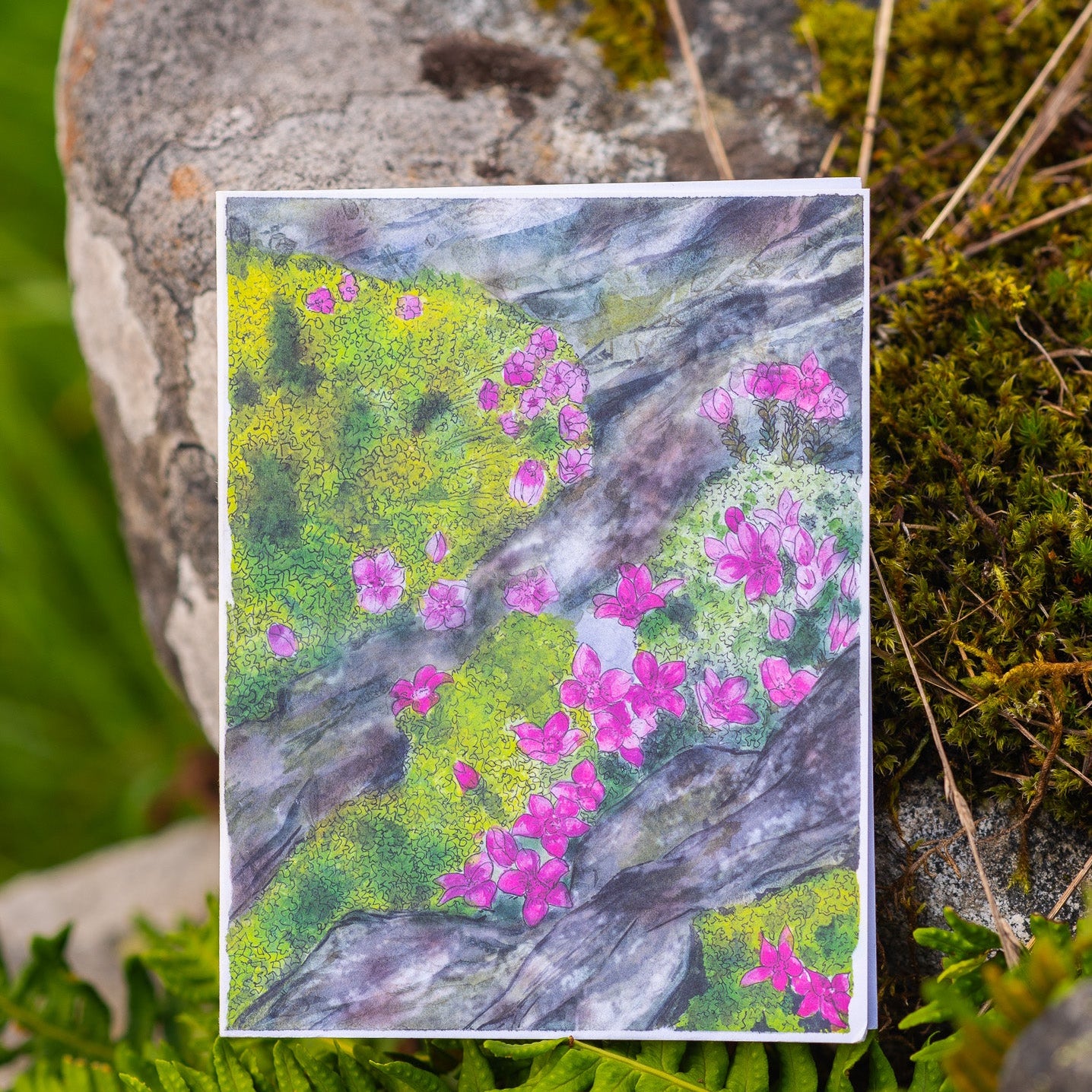 Scenery card- Rocks covered with moss and Alpine azalea flowers