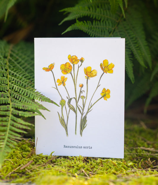 Grußkarte "Butterblumen"