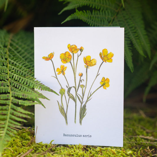 Buttercups Illustation card