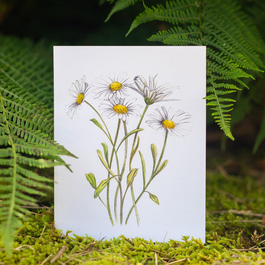 Daisies Illustation card
