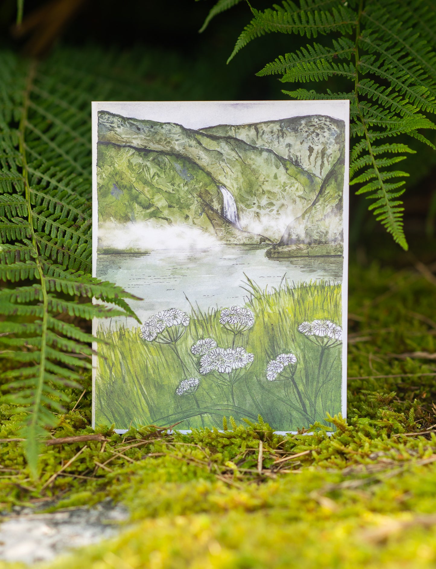 Tarjeta de felicitación "Flores de encaje blanco en Aurlandsdalen"