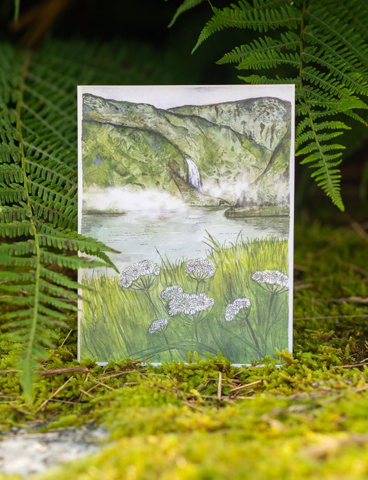 Grußkarte "Weiße Spitzenblumen in Aurlandsdalen"