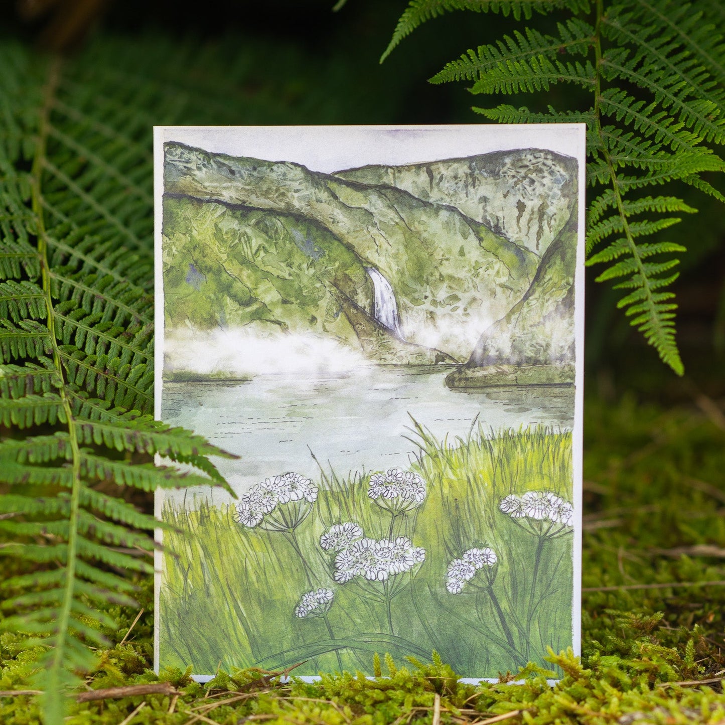 Scenery card- Aurlandsdalen with White lace flowers