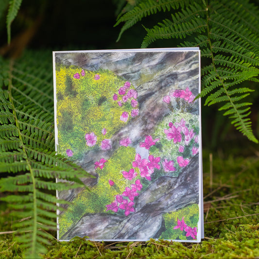 Scenery card- Rocks covered with moss and Alpine azalea flowers