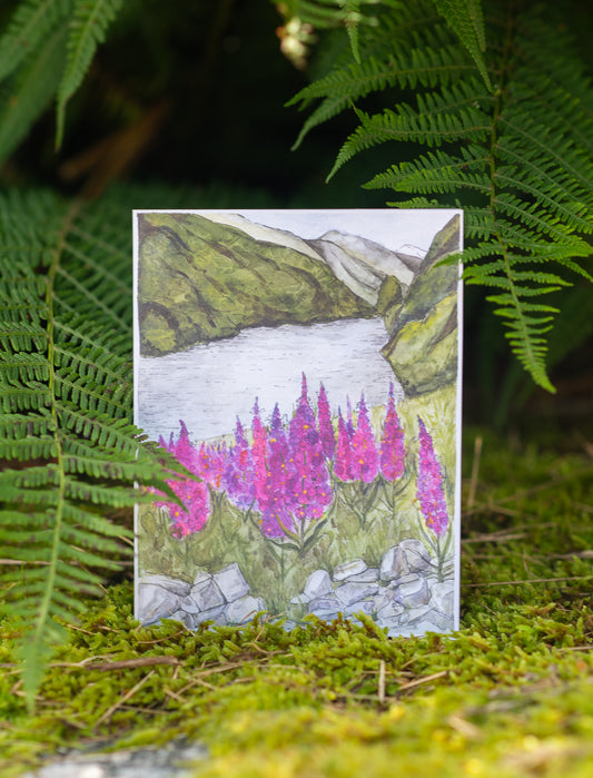 Begrüßungskarte "Fireweeds über dem Flipper Flåm"