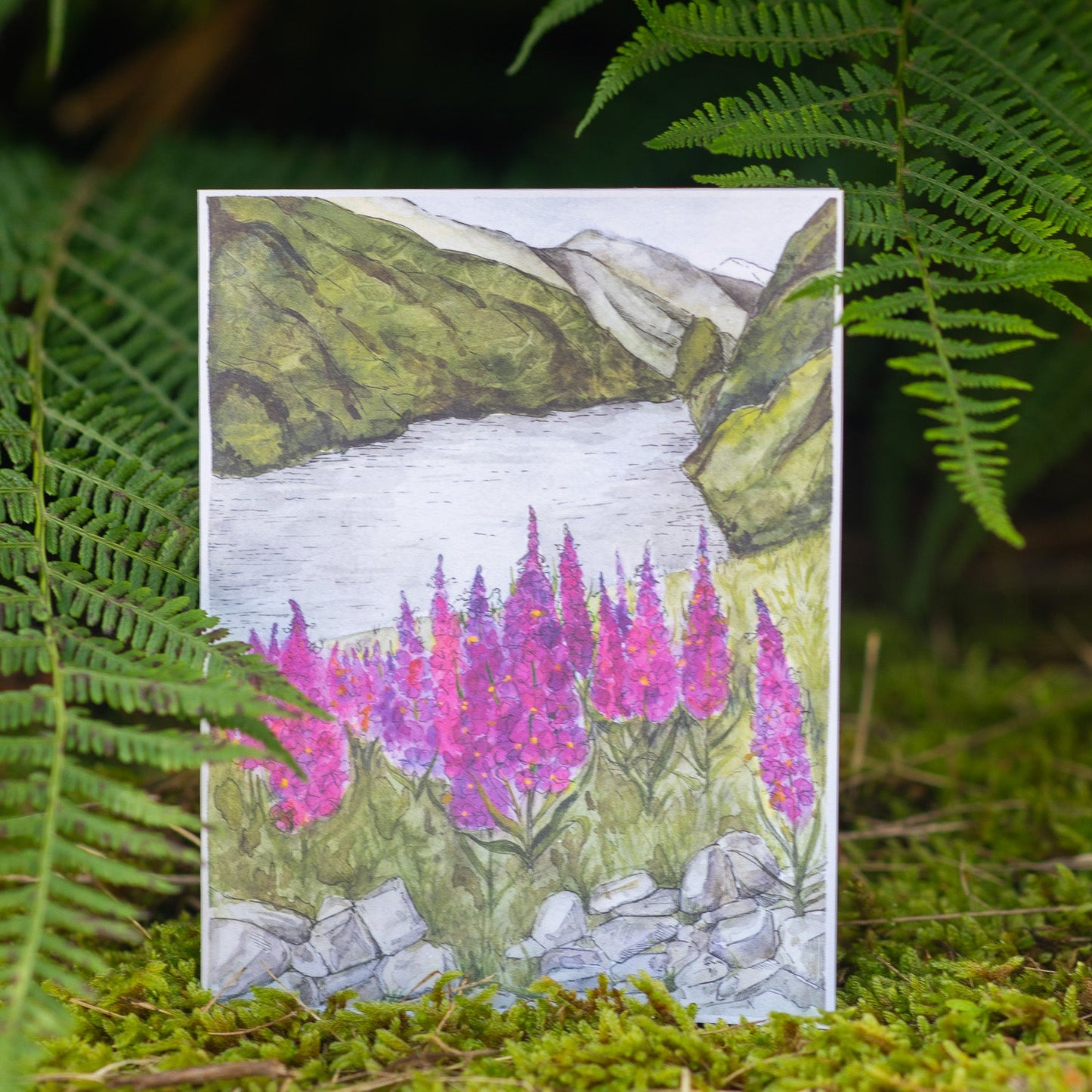 Scenery card- Flåm  river and Fireweeds