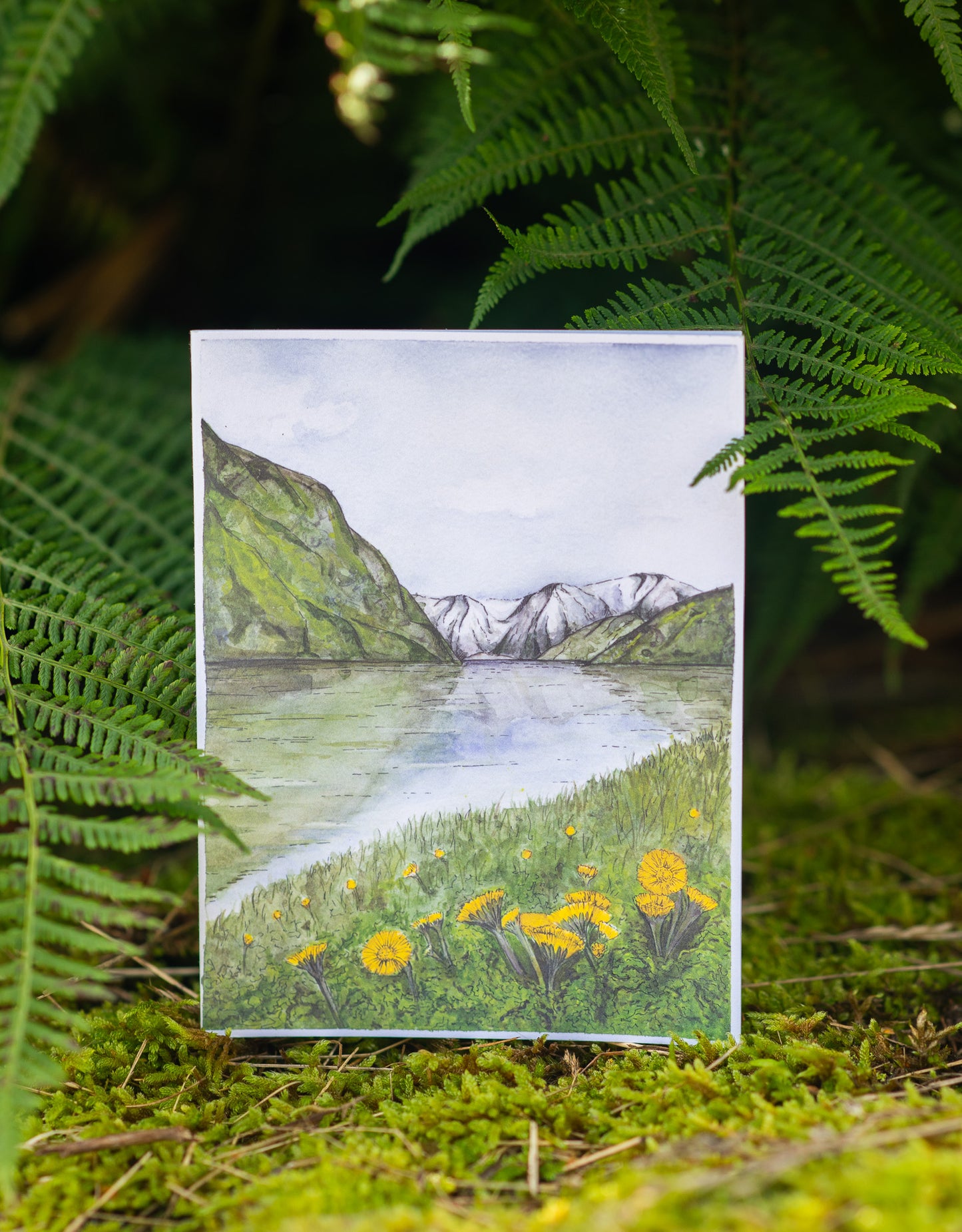 Tarjeta de felicitación "Flores de uña de potro y el fiordo de Næroy"