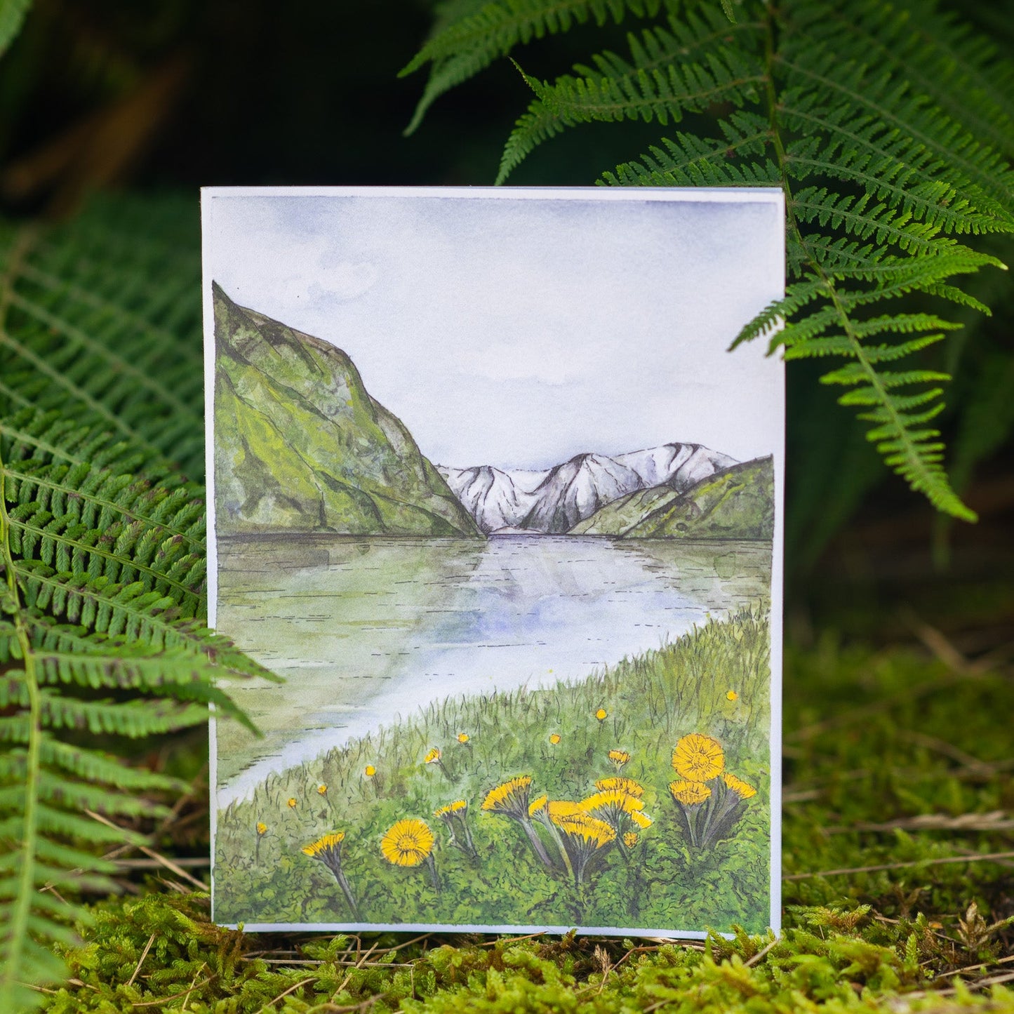 Scenery card- Naeroyfjord and Coltsfoot flowers