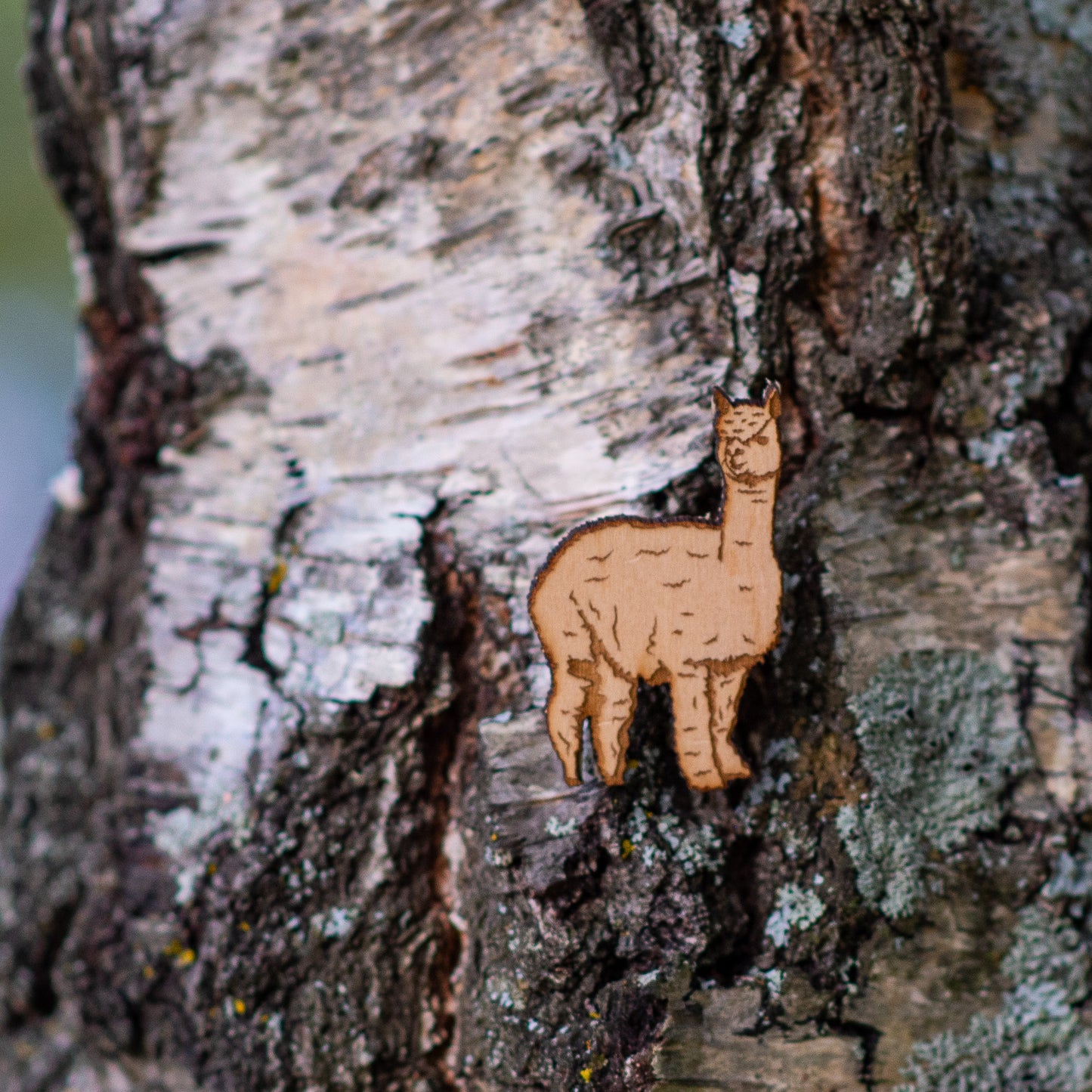 Llamma full body 38x25mm
