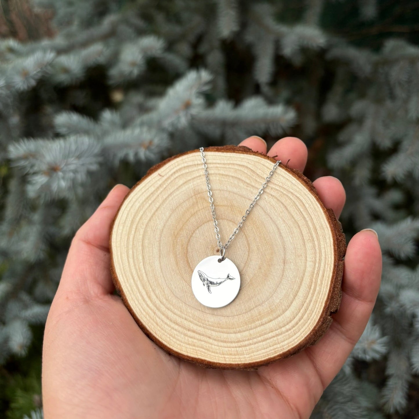 Collar de ballena - Acero inoxidable