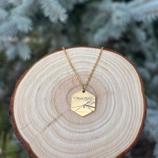 Stegastein necklace- Stainless Steel Golden