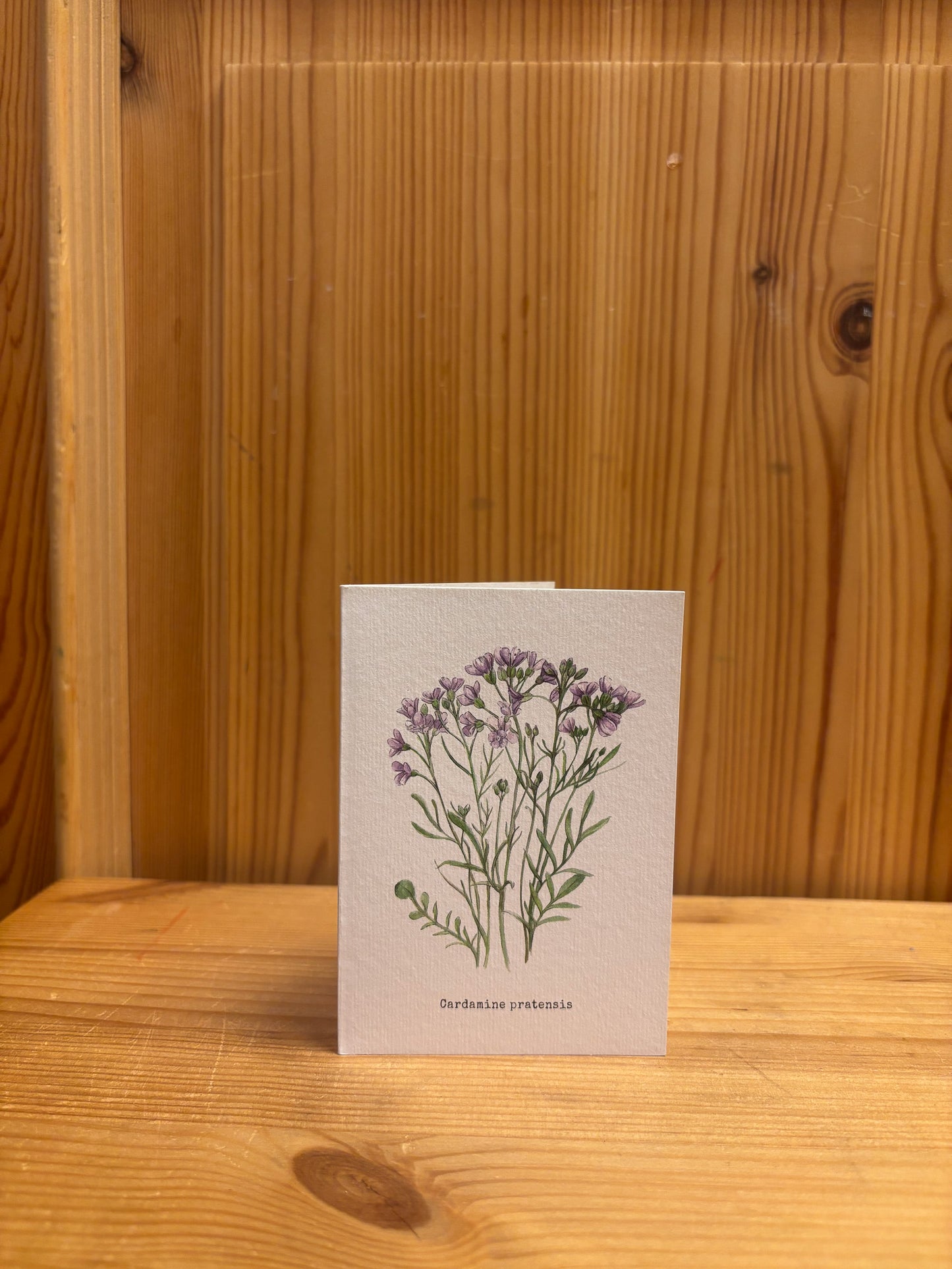 Mini greeting card Cuckoo flowers illustration