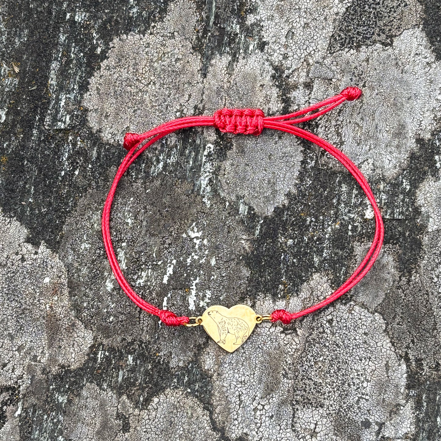 Polar bear 14x12mm heart golden on thin cord red