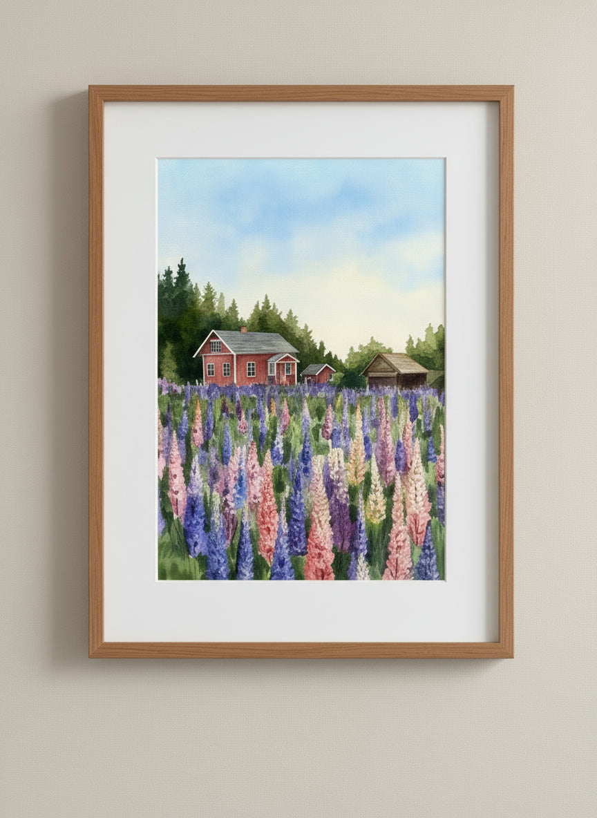 A3 Poster Scenery- Lupins with red cabin Illustation