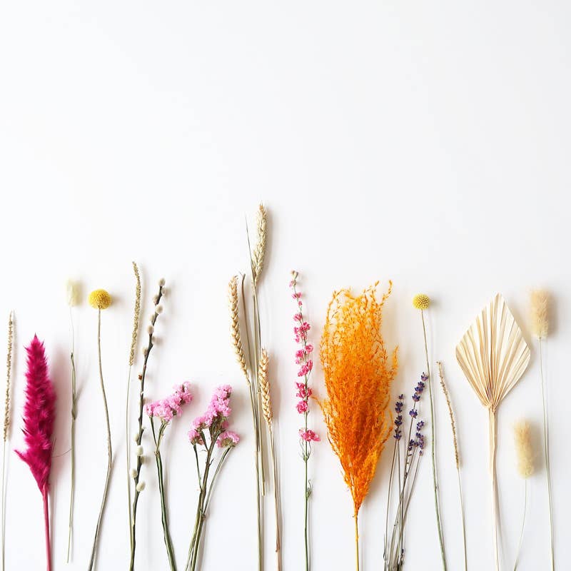 Bloomposy gedroogde bloemen geschenkset