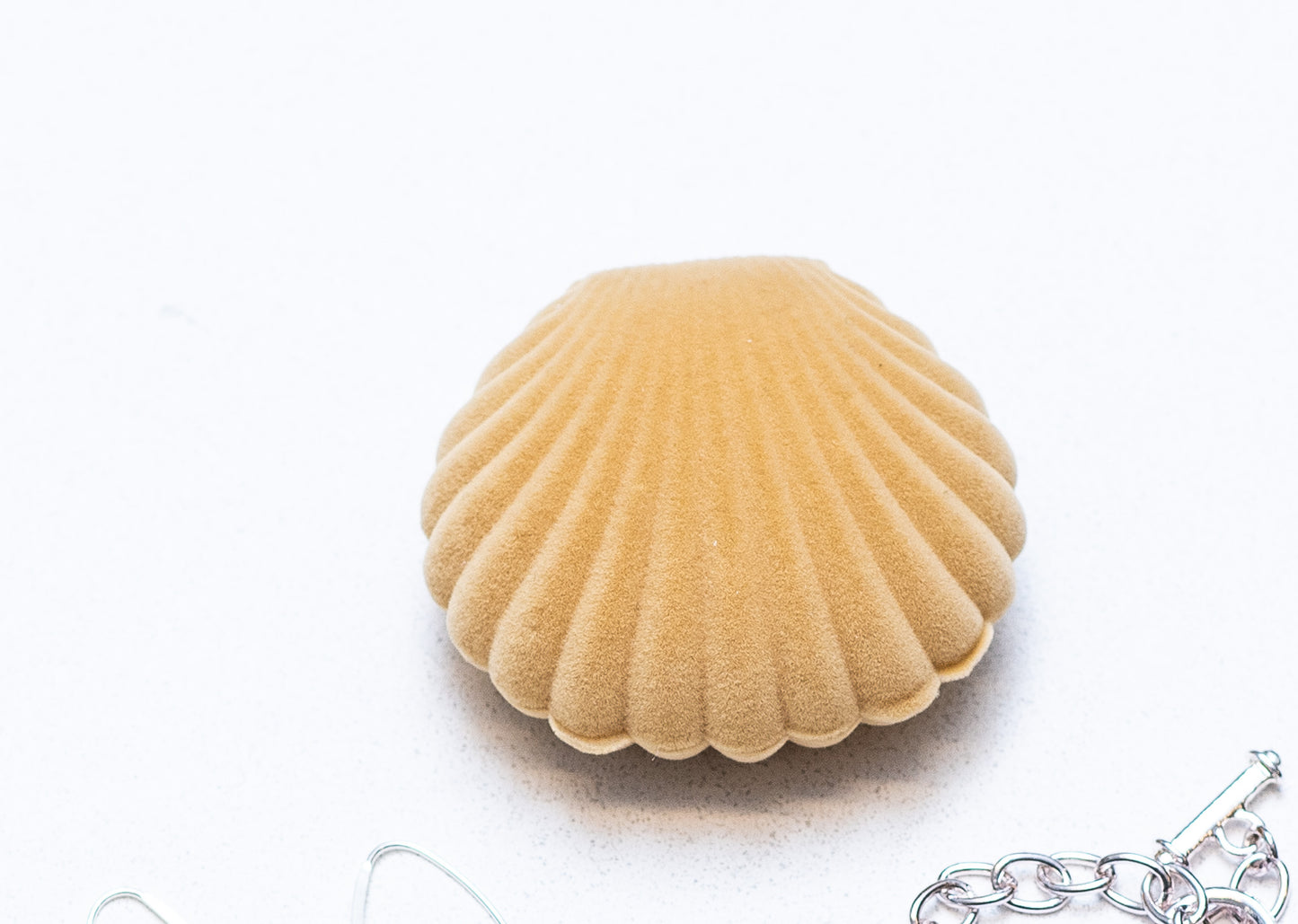 Shell gift box