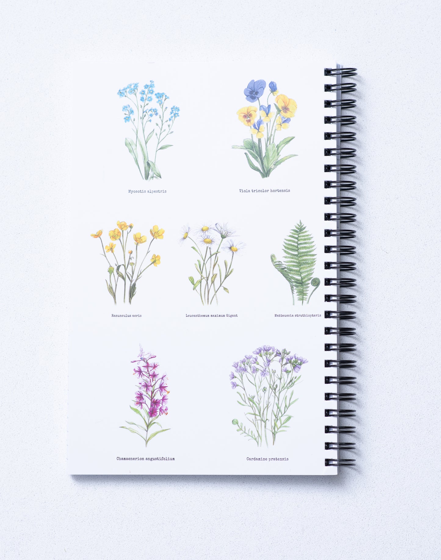 Notitieboekje met bloemenillustraties