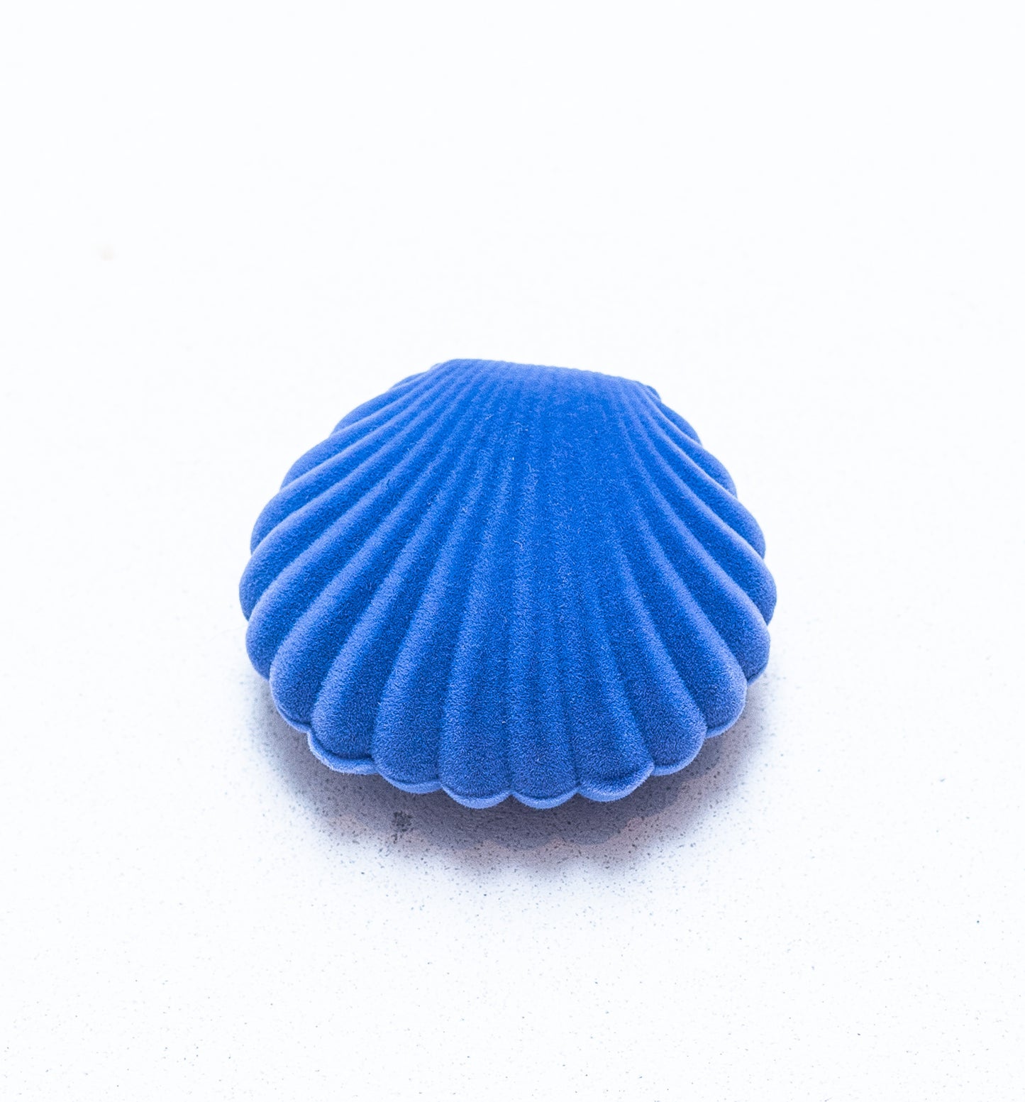 Shell gift box