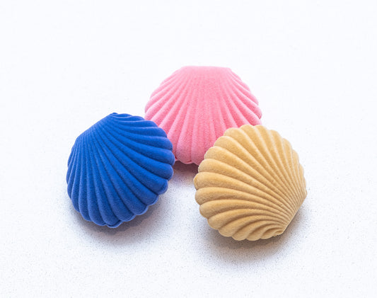 Shell gift box