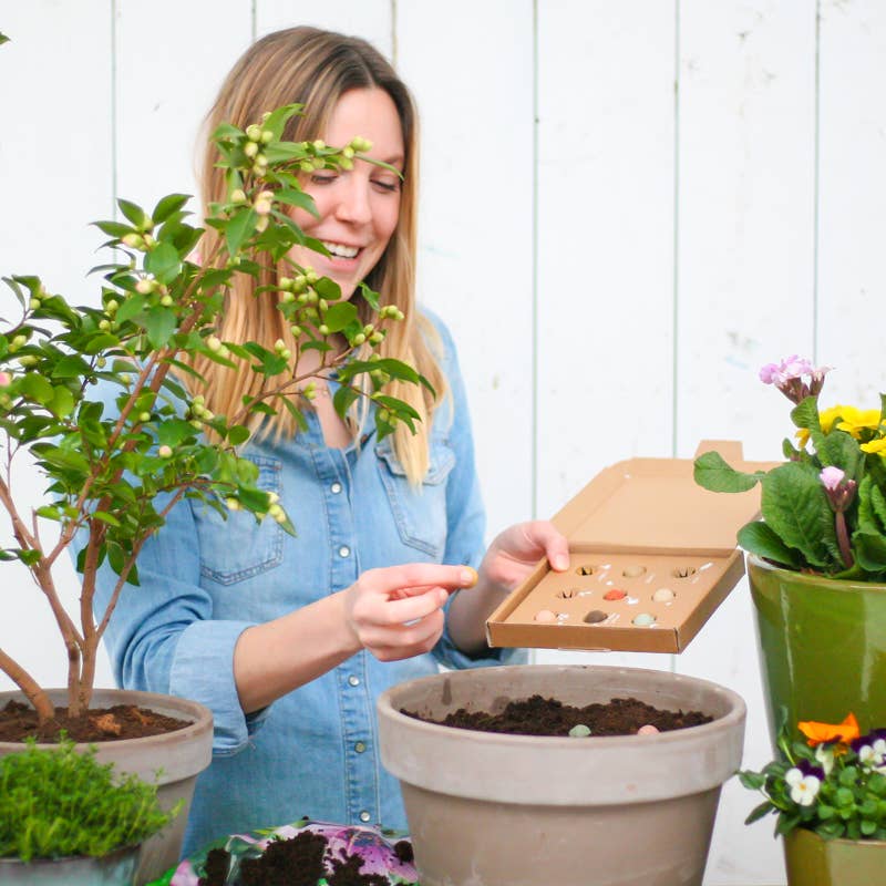 Seed bombs giftset